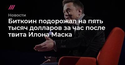 Илон Маск - Биткоин подорожал на пять тысяч долларов за час после твита Илона Маска - tvrain.ru