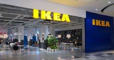 IKEA открывает свой первый магазин в Украине 1 февраля - dsnews.ua - Киев - Румыния - Хорватия - Словения - Сербия