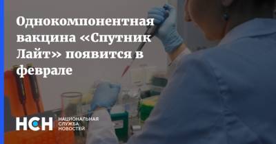 Однокомпонентная вакцина «Спутник Лайт» появится в феврале - nsn.fm - Белоруссия - Венгрия - Венесуэла - Сербия - Эмираты - Пакистан - Палестина - Боливия - Туркмения - Аргентина - Алжир - Алжирская Народная Демократическая Республика - Парагвай