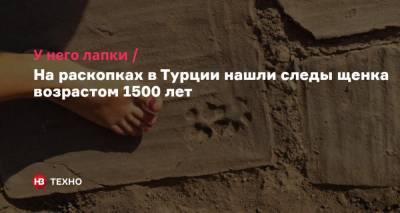 У него лапки. На раскопках в Турции нашли следы щенка возрастом 1500 лет - nv.ua - Турция