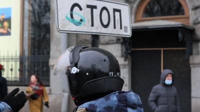 Агрессивным демонстрантам напомнили о статье 212 УК РФ - vesti.ru