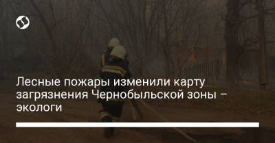 Лесные пожары изменили карту загрязнения Чернобыльской зоны – экологи - liga.net