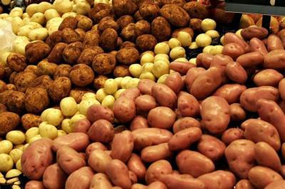 Агро - В Украине зарегистрировали 85 новых сортов картофеля - 24tv.ua