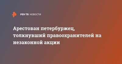 Арестован петербуржец, толкнувший правоохранителей на незаконной акции - ren.tv - Санкт-Петербург