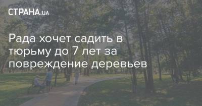 Рада хочет садить в тюрьму до 7 лет за повреждение деревьев - strana.ua - Парламент