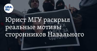 Алексей Навальный - Алексей Мартынов - Юрист МГУ раскрыл реальные мотивы сторонников Навального - ura.news