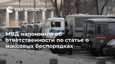 МВД напомнило об ответственности по статье о массовых беспорядках - ria.ru - Москва - Россия