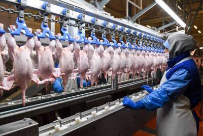 Россия запретила ввоз продукции птицеводства из Румынии - m24.ru - Румыния