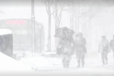 В Японии выпало до двух метров снега: буря отрезала остров Хоккайдо и повергла страну в транспортный коллапс (видео) - newsone.ua - Япония