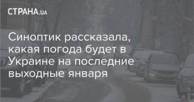 Наталья Диденко - Синоптик рассказала, какая погода будет в Украине на последние выходные января - strana.ua - Киев - Днепропетровская обл.