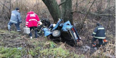 В Житомирской области автомобиль въехал в дерево: три человека погибли - nv.ua - Житомирская обл.