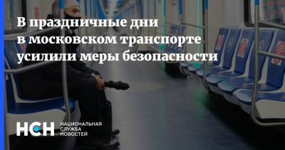В праздничные дни в московском транспорте усилили меры безопасности - nsn.fm - Москва