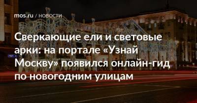 Сверкающие ели и световые арки: на портале «Узнай Москву» появился онлайн-гид по новогодним улицам - mos.ru - Москва