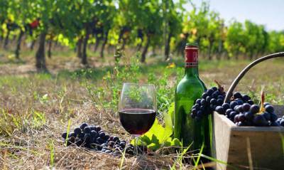 Европейское вино станет дешевле – Украина отменила пошлины - capital.ua - с. 1 Января