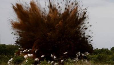 В Арт-бухте Севастополя в разгар праздников из-под воды подняли бомбу - crimea.ria.ru - Крым - Симферополь - Севастополь