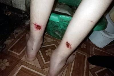 Омбудсмен начал проверку заявления об истязаниях в новосибирском интернате - tayga.info - Новосибирск - Новосибирская обл.
