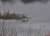 Пока не сказали, что на водоеме БЧБ-флаг, МЧС не спешило спасать птицу - udf.by - Минск - район Смолевичский