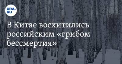 В Китае восхитились российским «грибом бессмертия» - ura.news - Южная Корея - Япония - Beijing