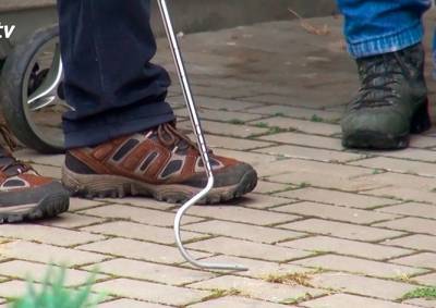 Поиски ядовитой змеи в пригороде Праги закончились ничем - vinegret.cz - Чехия - Прага