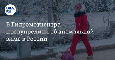 Роман Вильфанд - В Гидрометцентре предупредили об аномальной зиме в России - ura.news