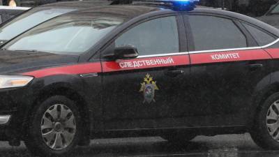 СК проверит данные об издевательстве над ребенком в детдоме под Новосибирском - iz.ru - Новосибирск - Новосибирская обл.