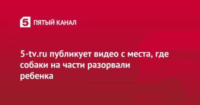 5-tv.ru публикует видео с места, где собаки на части разорвали ребенка - 5-tv.ru