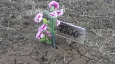 Степан Бандер - Сергей Нещадим - В ВСУ назвали потери "ихтамнетов" на Донбассе в 2020 году - ru.espreso.tv - ДНР