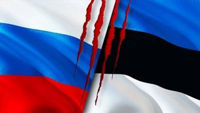 Владимир Джабаров - Сенатор Совфеда оценил территориальные претензияи Эстонии к России - 5-tv.ru - Россия - Эстония - РСФСР