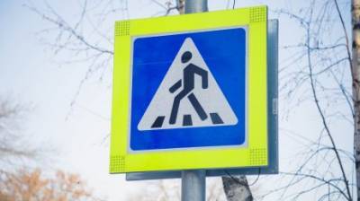 В Пензенской области водитель ВАЗа насмерть сбил пешехода - penzainform.ru - Пензенская обл.