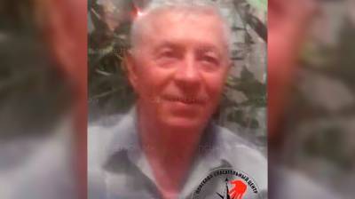 Николай Павлов - В воронежском райцентре 70-летний мужчина ушёл из дома и пропал - vestivrn.ru - Воронеж