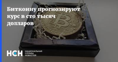 Биткоину прогнозируют курс в сто тысяч долларов - nsn.fm