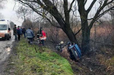В Житомирской области "Жигули" слетели в кювет и врезались в дерево: есть жертвы - newsone.ua - Житомирская обл.