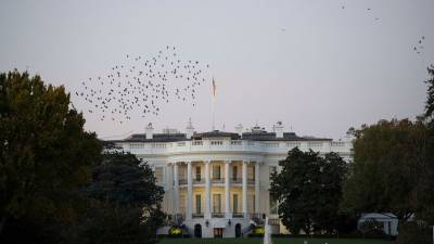 Дональд Трамп - В Белом доме назвали свою версию происхождения коронавируса - gazeta.ru - США - New York