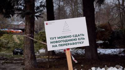 Петр Бирюков - В Москве стартовала акция «Елочный круговорот». - riafan.ru - Москва