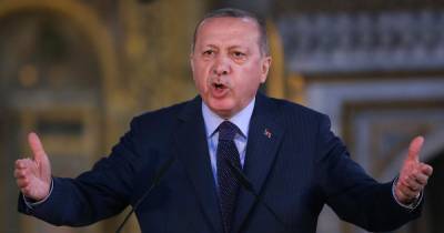 Реджеп Тайип Эрдоган - Реджеп Эрдоган - Эммануэль Макрон - Интеграция по-турецки. Зачем Эрдоган ведет страну в "европейский фашизм" - dsnews.ua - Вашингтон - Турция