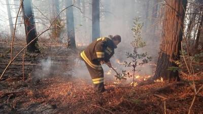 Вениамин Кондратьев - На Кубани потушили все природные пожары - vesti.ru - Краснодарский край