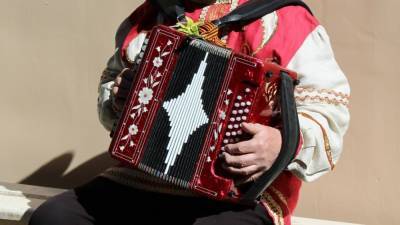 Пьяный нарушитель ПДД сыграл патрульным на баяне в Киеве - riafan.ru - Киев