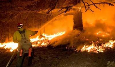 Пожарные в Сочи трое суток тушат горящий лес - newizv.ru - Сочи