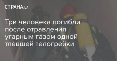 Три человека погибли после отравления угарным газом одной тлевшей телогрейки - strana.ua - Харьковская обл. - район Харьковский