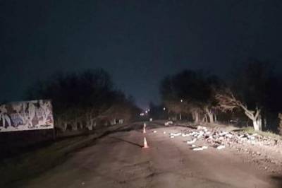 В Одесской области водитель микроавтобуса насмерть сбил велосипедиста и попытался спрятать тело, но попал в еще одно ДТП - newsone.ua - Одесская обл.
