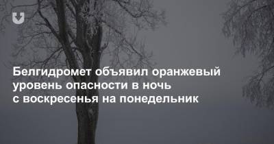 Белгидромет объявил оранжевый уровень опасности в ночь с воскресенья на понедельник - news.tut.by