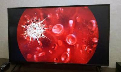 королева Марья - Эпидемиолог из Великобритании предупредила об опасности нового штамма коронавируса - ufacitynews.ru - Англия - Лондон