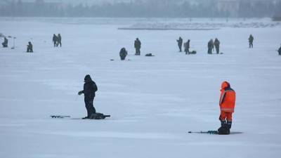 Сотрудники МЧС попросили рыбаков уйти со льда акватории Невской губы - piter.tv - Санкт-Петербург - Бронка