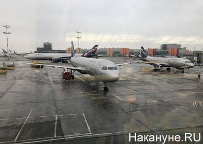 В Шереметьево самолет до Челябинска задержали из-за пьяного пассажира без маски - nakanune.ru - Москва - Челябинск