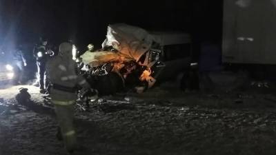 Названа предварительная причина ДТП с автобусом в Самарской области - russian.rt.com - Ульяновская - Самарская обл.