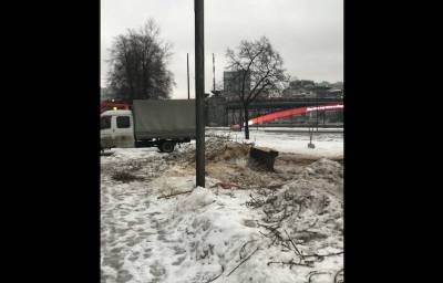 «Деревья можно было спасти, изменив проект»: муниципальный депутат о вырубке лип вдоль набережной Тараса Шевченко - mskgazeta.ru - район Дорогомилово