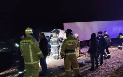 В России грузовик столкнулся с пассажирским автобусом, 12 человек погибли - rbc.ua - Ростовская обл. - Ульяновская - Сызрань