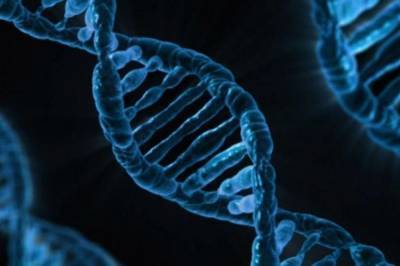 В геноме человека обнаружили новые гены, связанные с раком - zik.ua