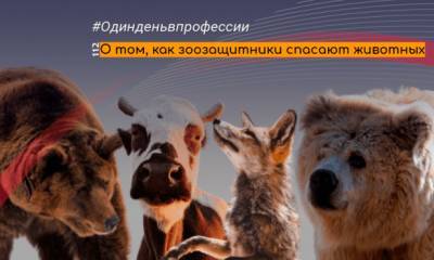 Сломанные челюсти, откусанные уши и искалеченные жизни. Истории, которые не могут рассказать животные - 112.ua - Киев
