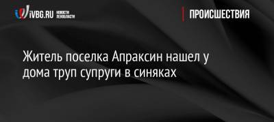 Житель поселка Апраксин нашел у дома труп супруги в синяках - ivbg.ru - Ленинградская обл. - р-н Кировский